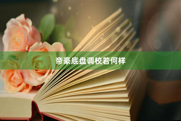 帝豪底盘调校若何样